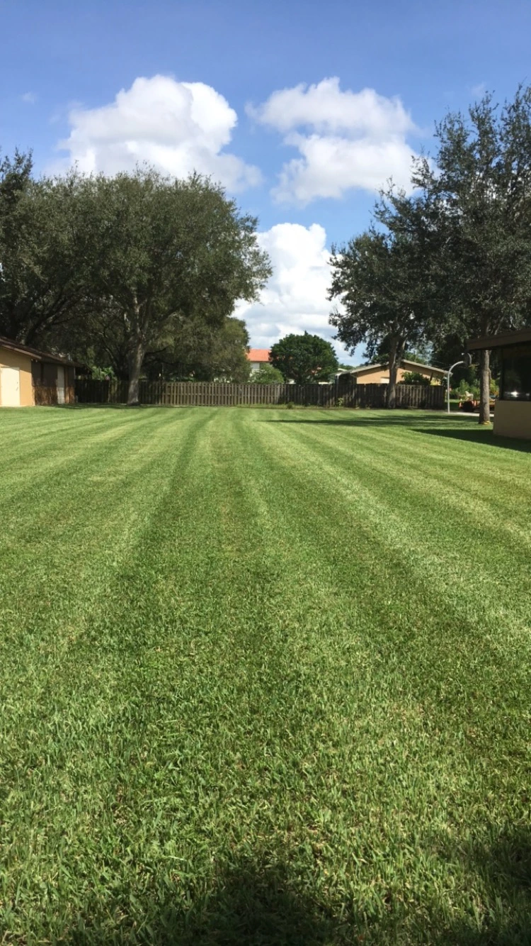Performance Lawn Service project photo 10