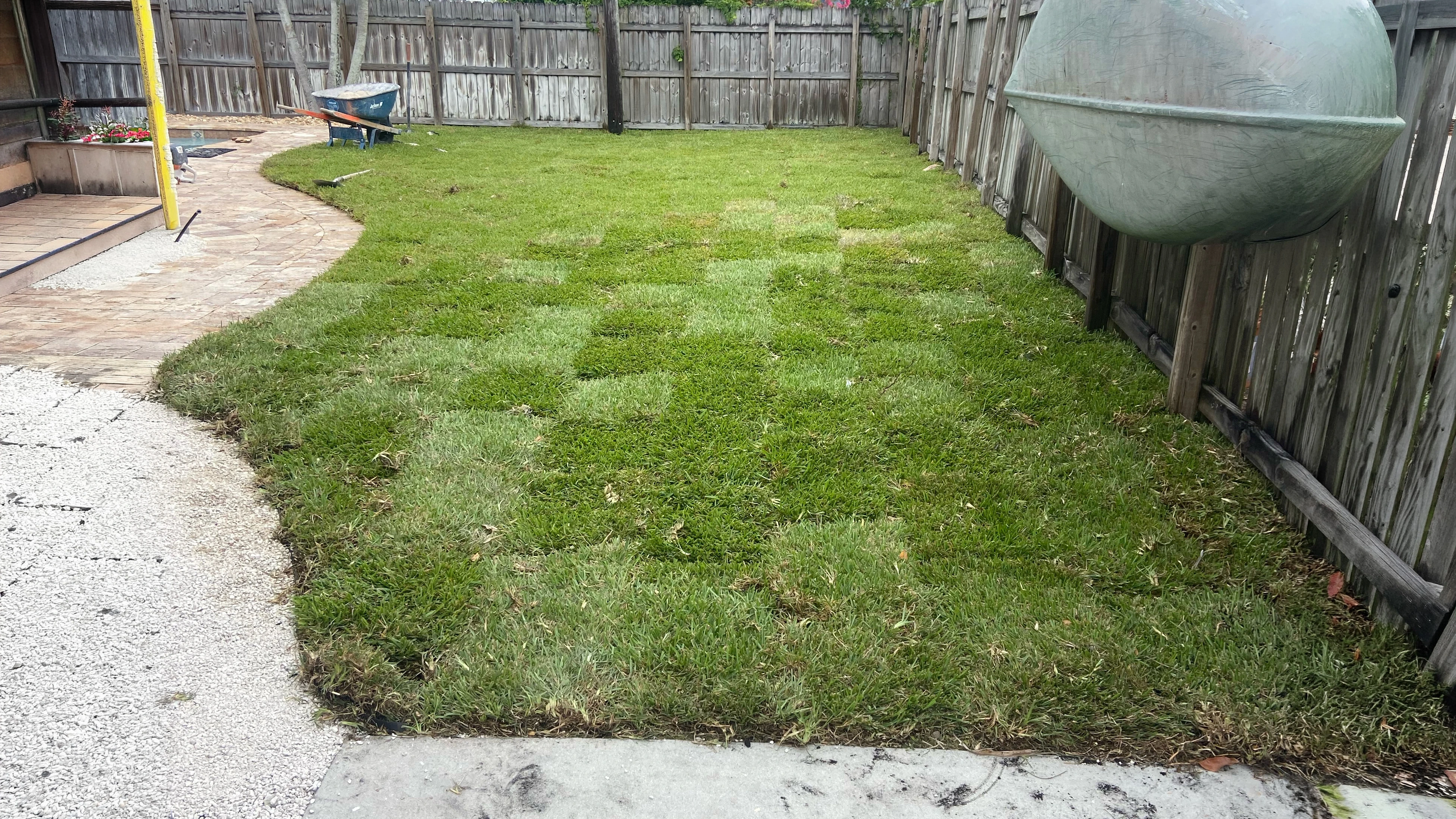 Performance Lawn Service project photo 3